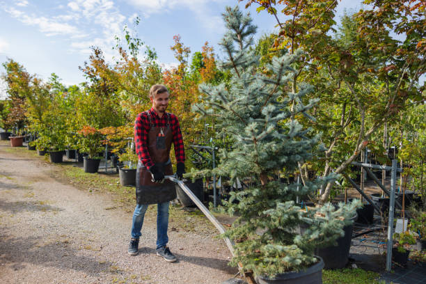 Best Tree Trimming Near Me  in Fletcher, OK